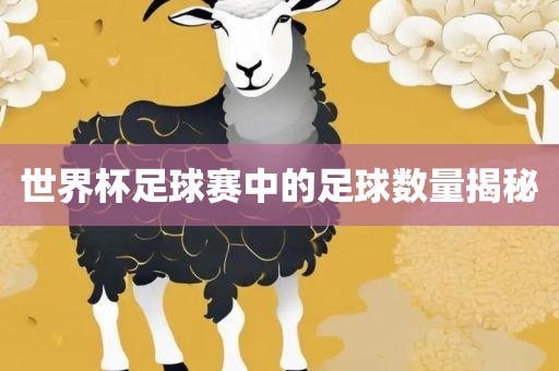 世界杯足球赛中眉山市正发家政服务有限公司的足球数量揭秘