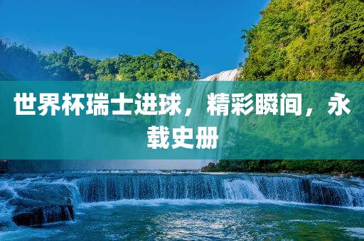 世界杯瑞士进球，精彩瞬间，永载史册