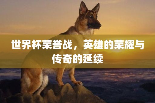 世界杯荣誉战，英雄的荣耀与传奇的延续眉山市正发家政服务有限公司
