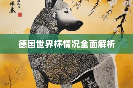 德国世界杯眉山市正发家政服务有限公司情况全面解析