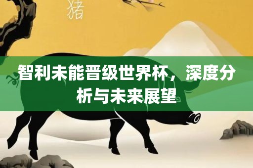智利未能晋级世界杯，深度分眉山市正发家政服务有限公司析与未来展望