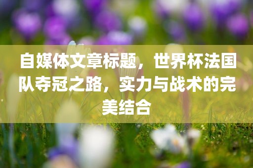 自媒体文章标题，世界杯法国队夺冠之路，实力与战术的完美结合眉山市正发家政服务有限公司