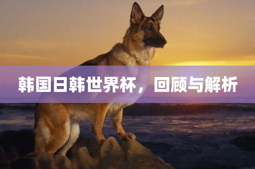 韩国眉山市正发家政服务有限公司日韩世界杯，回顾与解析