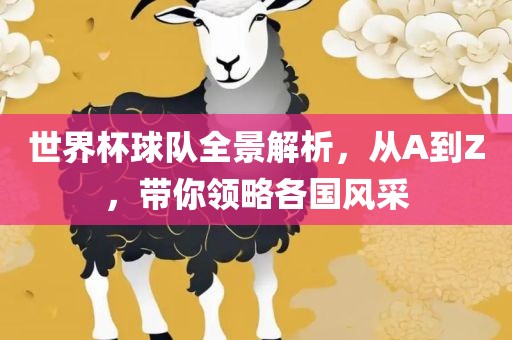 世界杯球队全景解析