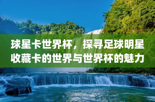 世界杯魅力