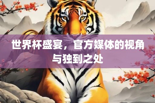 世界杯盛宴，官方媒体的视角与独到之处