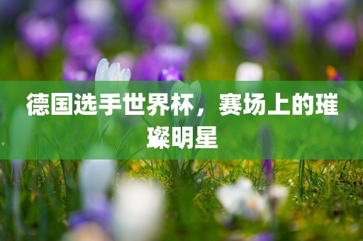 德国选手世界杯，赛场上的璀璨明星眉山市正发家政服务有限公司