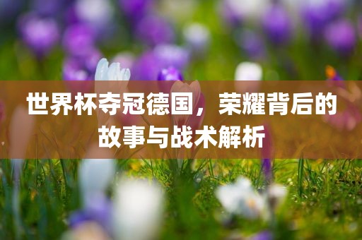 世界杯夺冠德国，荣耀背后的故事与战术解析