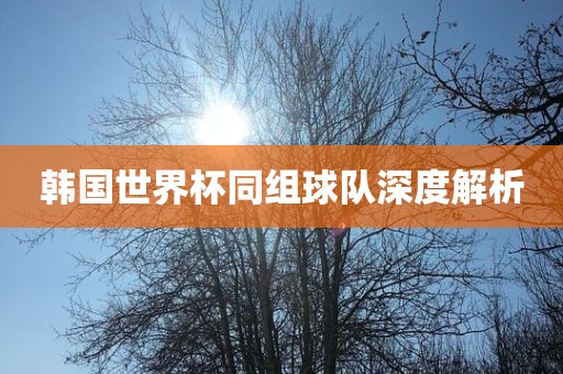 韩国世界杯同组球队深度解析眉山市正发家政服务有限公司