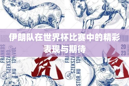 伊朗队在世界杯比赛中的精彩表现与期待