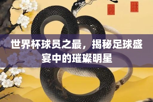 世界杯球员之最，揭秘足球盛宴中的璀璨明星眉山市正发家政服务有限公司