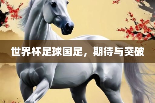 世界杯足球国足，期待与突破眉山市正发家政服务有限公司