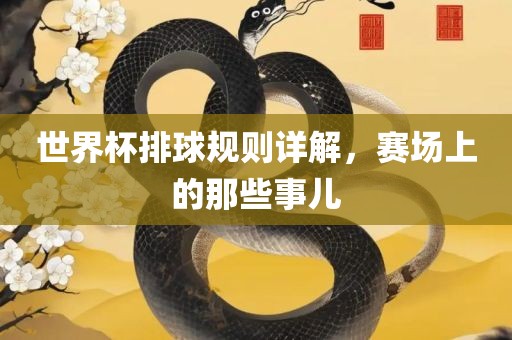 世界杯排球规则详解，赛场上的那些事儿眉山市正发家政服务有限公司