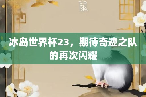 冰岛世界杯23，期待奇迹之队的再次闪耀
