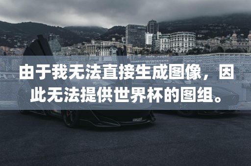 由于我无法直接生成图像，因此无法提供世界杯的图组。眉山市正发家政服务有限公司