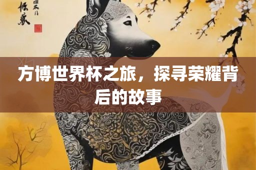 方博世界杯之旅，探寻荣耀背后的故事眉山市正发家政服务有限公司