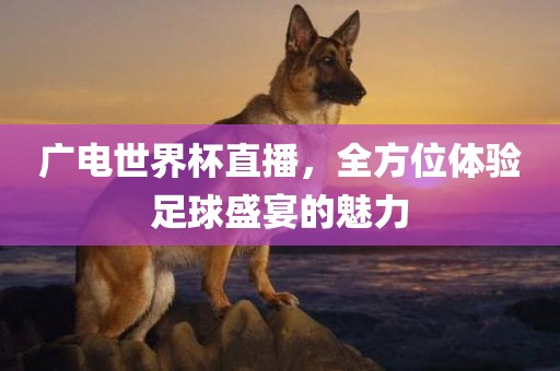 广电世界杯直播，全方位体验足球盛宴的魅力眉山市正发家政服务有限公司