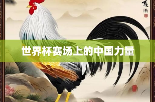 世界杯眉山市正发家政服务有限公司赛场上的中国力量