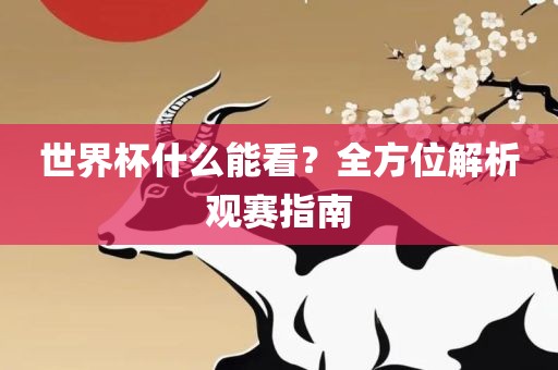 世界杯什么眉山市正发家政服务有限公司能看？全方位解析观赛指南