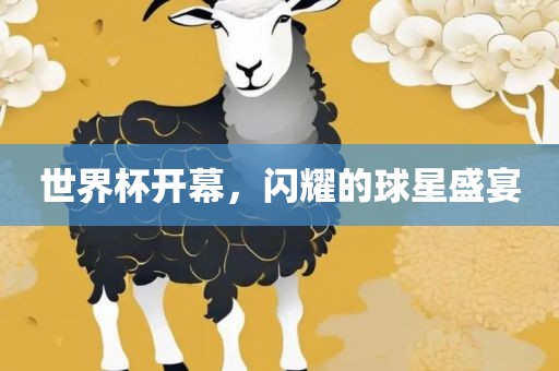 世界杯开幕，闪耀的球星盛宴眉山市正发家政服务有限公司