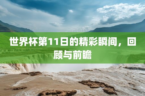 世界杯第11日的精彩瞬间眉山市正发家政服务有限公司，回顾与前瞻