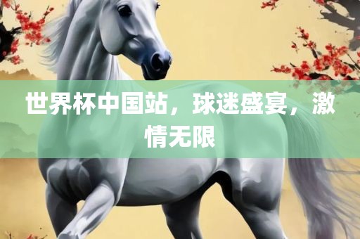 世界杯中国站，球迷盛宴，激情无限眉山市正发家政服务有限公司