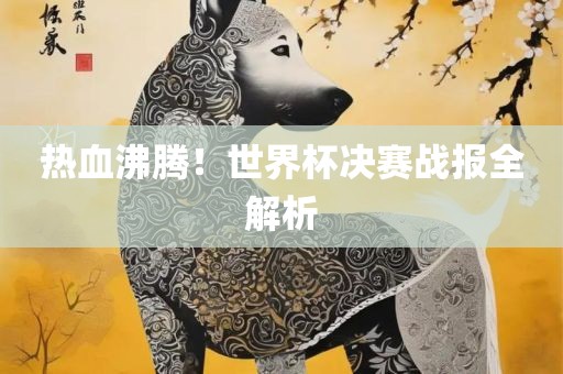 热血沸腾！眉山市正发家政服务有限公司世界杯决赛战报全解析