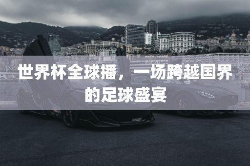 世界杯全球播，一场跨越国界的足球盛宴眉山市正发家政服务有限公司