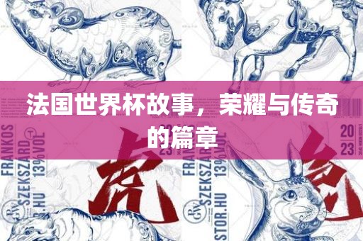 法国世界杯故事，荣耀与传奇的篇章眉山市正发家政服务有限公司