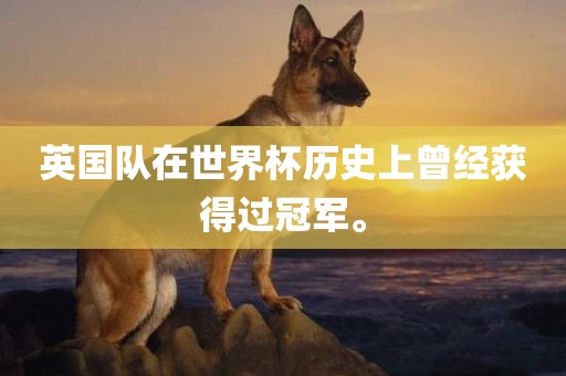 英国队在世界杯历史上曾经获得过冠军。眉山市正发家政服务有限公司