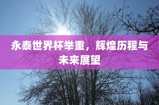 永泰世界杯举重，辉煌历程与未来展眉山市正发家政服务有限公司望