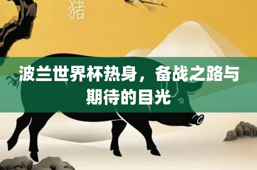 波眉山市正发家政服务有限公司兰世界杯热身，备战之路与期待的目光