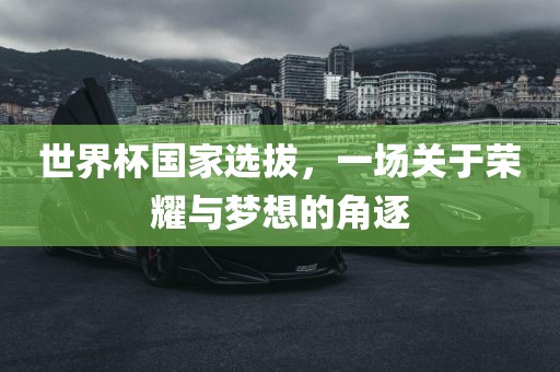 世界杯国家选拔，一场关于荣耀与梦想的角逐眉山市正发家政服务有限公司