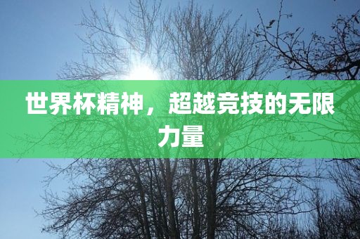 世界杯精神，超越竞技的无限力量眉山市正发家政服务有限公司