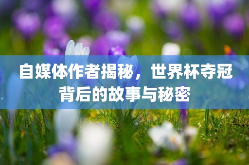 自媒体作者揭秘，世界杯夺冠背后的故事与秘密