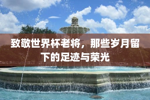 致敬世界杯老将，那些岁月留下的足迹与荣光眉山市正发家政服务有限公司