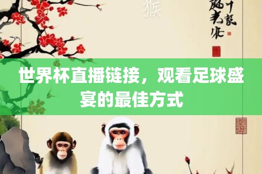 世界杯直播链接，观看足球盛宴的最佳方式