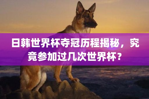 日韩世界杯夺冠历程揭秘，究竟参加过几次世界杯？眉山市正发家政服务有限公司