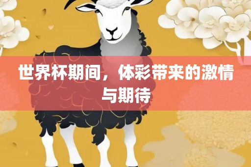 世界杯期间，体彩带来的激情与期待