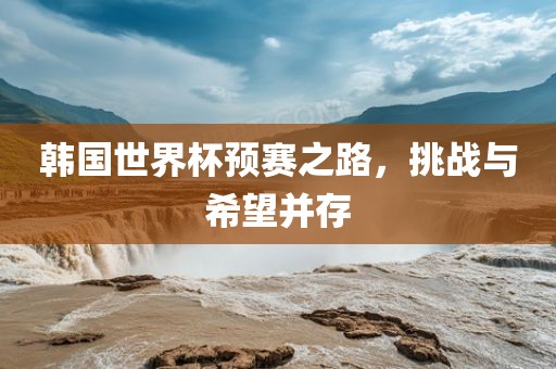 韩国世界杯预赛之路，挑战与希望并存眉山市正发家政服务有限公司