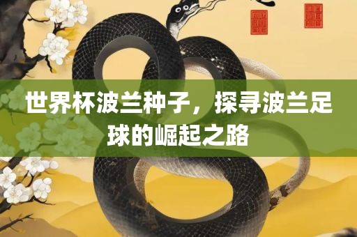 世界杯波兰种子，探寻波兰足球的崛起之路