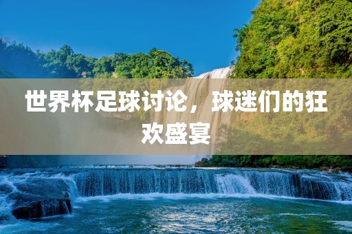 世界杯足球讨论，球迷们的狂欢盛宴眉山市正发家政服务有限公司