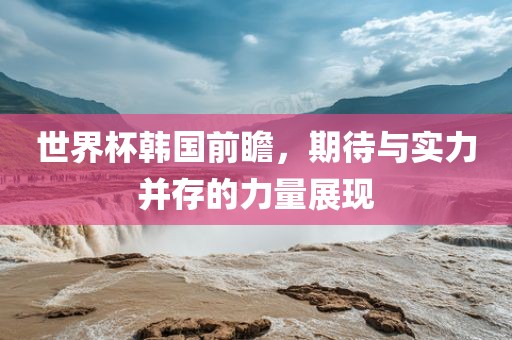 世界杯韩国前瞻，期待眉山市正发家政服务有限公司与实力并存的力量展现