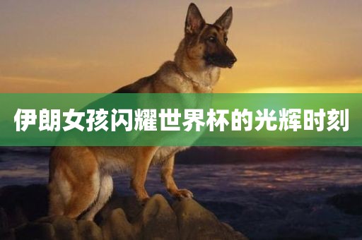 伊朗女孩闪耀世界杯的光辉时刻眉山市正发家政服务有限公司