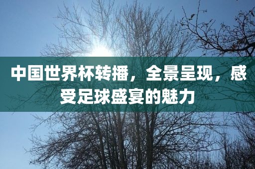 中国世界杯转播，全景呈现，感受足球盛宴的魅力眉山市正发家政服务有限公司