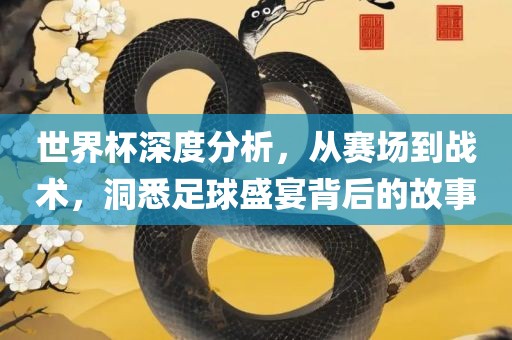 世界杯深度分析，从赛场到战术，洞悉足球盛宴背后的故事眉山市正发家政服务有限公司