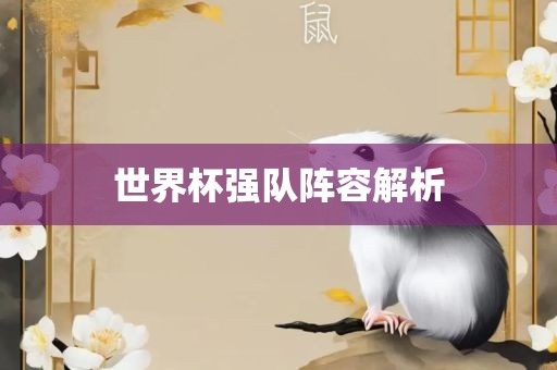 世界杯眉山市正发家政服务有限公司强队阵容解析