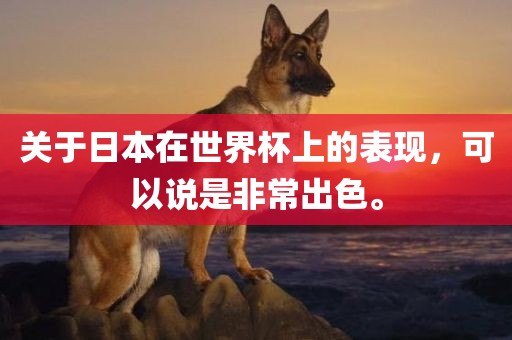 关于日本在世界杯上的表现，可以说是非常出色。