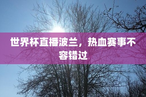 世界杯直播波兰，热血赛事不容错过眉山市正发家政服务有限公司