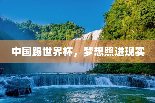 中国踢世界杯，梦想照进现实
